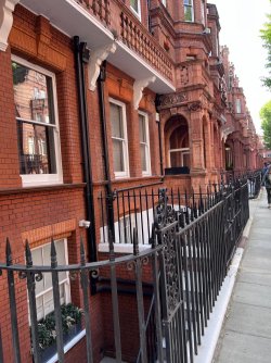 IMG_4614.jpeg IMG_4614.jpeg