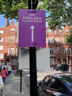 IMG_4615.jpeg IMG_4615.jpeg