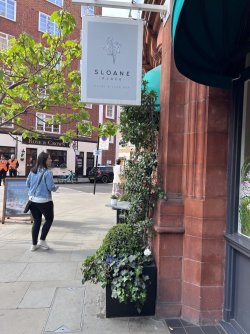 IMG_4616.jpeg IMG_4616.jpeg