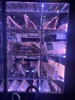 IMG_1253.jpeg IMG_1253.jpeg