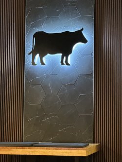 IMG_1262.jpeg IMG_1262.jpeg