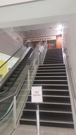 IMG-20230529-WA0011.jpg IMG-20230529-WA0011.jpg