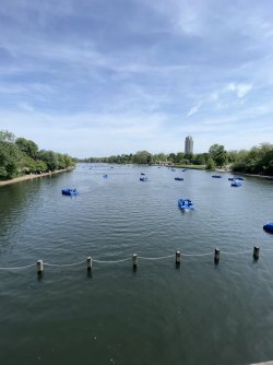 IMG_4707.jpeg IMG_4707.jpeg