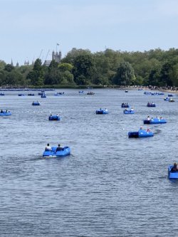 IMG_4708.jpeg IMG_4708.jpeg