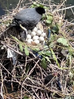 IMG_4706.jpeg IMG_4706.jpeg