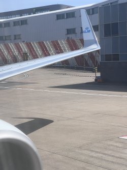 IMG_4710.jpeg IMG_4710.jpeg