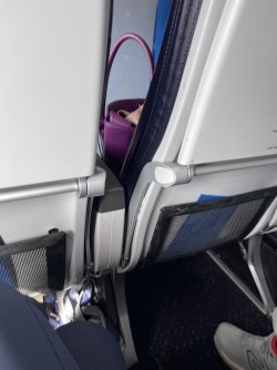 IMG_4711.jpeg IMG_4711.jpeg