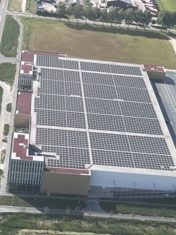 IMG_4730.jpeg IMG_4730.jpeg