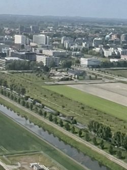 IMG_4731.jpeg IMG_4731.jpeg