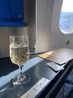 IMG_4733.jpeg IMG_4733.jpeg