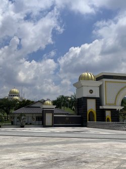 IMG_4786.jpeg IMG_4786.jpeg