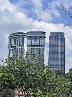 IMG_4787.jpeg IMG_4787.jpeg