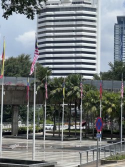 IMG_4791.jpeg IMG_4791.jpeg