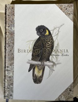 B7F1FD1D-066E-44EA-BA66-CC7F315950B0.jpeg B7F1FD1D-066E-44EA-BA66-CC7F315950B0.jpeg