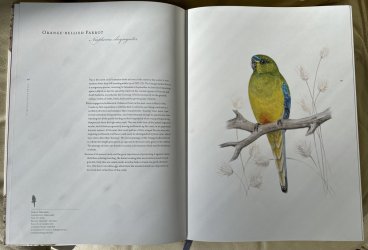 86DCF40F-761E-4B66-A8BC-D08333E5E299.jpeg 86DCF40F-761E-4B66-A8BC-D08333E5E299.jpeg