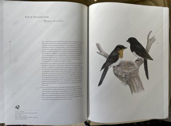 ACDB413D-16DF-426D-9243-B59C7E78AAA4.jpeg ACDB413D-16DF-426D-9243-B59C7E78AAA4.jpeg