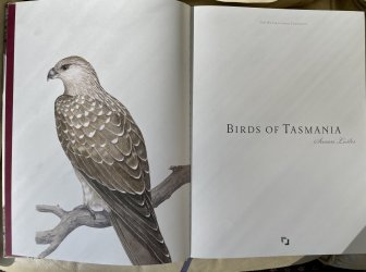 58E9A09A-749F-4906-89CA-8D517CD7F90C.jpeg 58E9A09A-749F-4906-89CA-8D517CD7F90C.jpeg