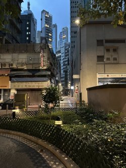 IMG_3230.jpeg IMG_3230.jpeg