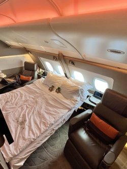 IMG_9169.jpeg IMG_9169.jpeg