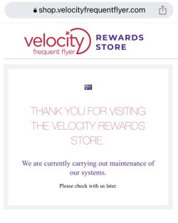 IMG_7565.jpeg IMG_7565.jpeg