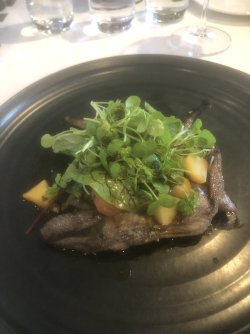 CBA9C7B8-02DD-4A28-9110-D9334E88BF37.jpeg CBA9C7B8-02DD-4A28-9110-D9334E88BF37.jpeg