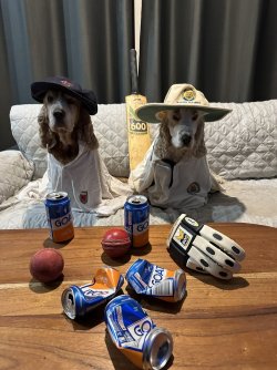 1686912937268.jpeg 1686912937268.jpeg