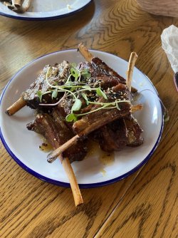 IMG_4062.jpeg IMG_4062.jpeg