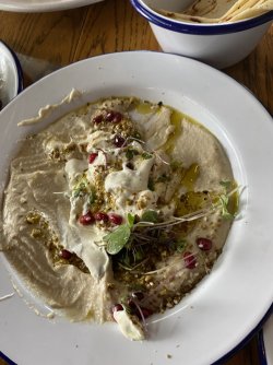 IMG_4061.jpeg IMG_4061.jpeg