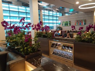 20230621_105422.jpg 20230621_105422.jpg