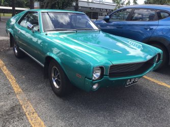 IMG_6397.jpeg IMG_6397.jpeg