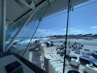 IMG_5717.jpeg IMG_5717.jpeg