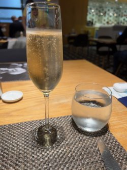 IMG_5723.jpeg IMG_5723.jpeg