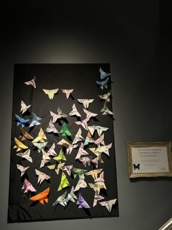 IMG_4805.JPG IMG_4805.JPG