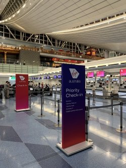 IMG_4941.jpeg IMG_4941.jpeg