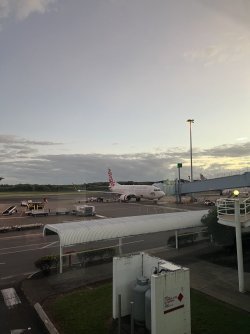 IMG_4974.jpeg IMG_4974.jpeg