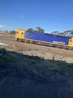 IMG_7383.jpeg IMG_7383.jpeg