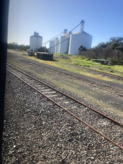 IMG_7590.jpeg IMG_7590.jpeg