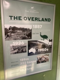 IMG_7754.jpeg IMG_7754.jpeg