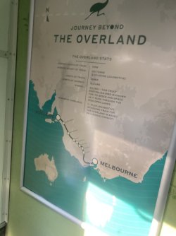 IMG_7755.jpeg IMG_7755.jpeg