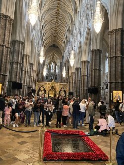 IMG_1597.jpeg IMG_1597.jpeg