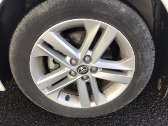 IMG_6531.jpeg IMG_6531.jpeg