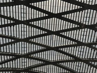 IMG_2458.jpeg IMG_2458.jpeg