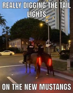 350472843_102289176224429_4438671816136072435_n-64c0c2b139a35__700 (1).jpg