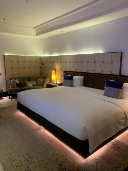 IMG_3548.jpeg IMG_3548.jpeg