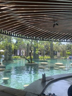 IMG_3552.jpeg IMG_3552.jpeg