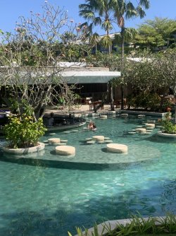 IMG_3557.jpeg IMG_3557.jpeg