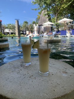 IMG_3570.jpeg IMG_3570.jpeg