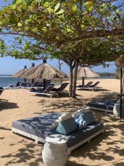 IMG_3562.jpeg IMG_3562.jpeg