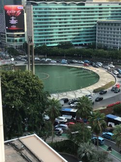 IMG_0495.jpeg IMG_0495.jpeg