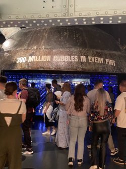 IMG_1806.jpeg IMG_1806.jpeg